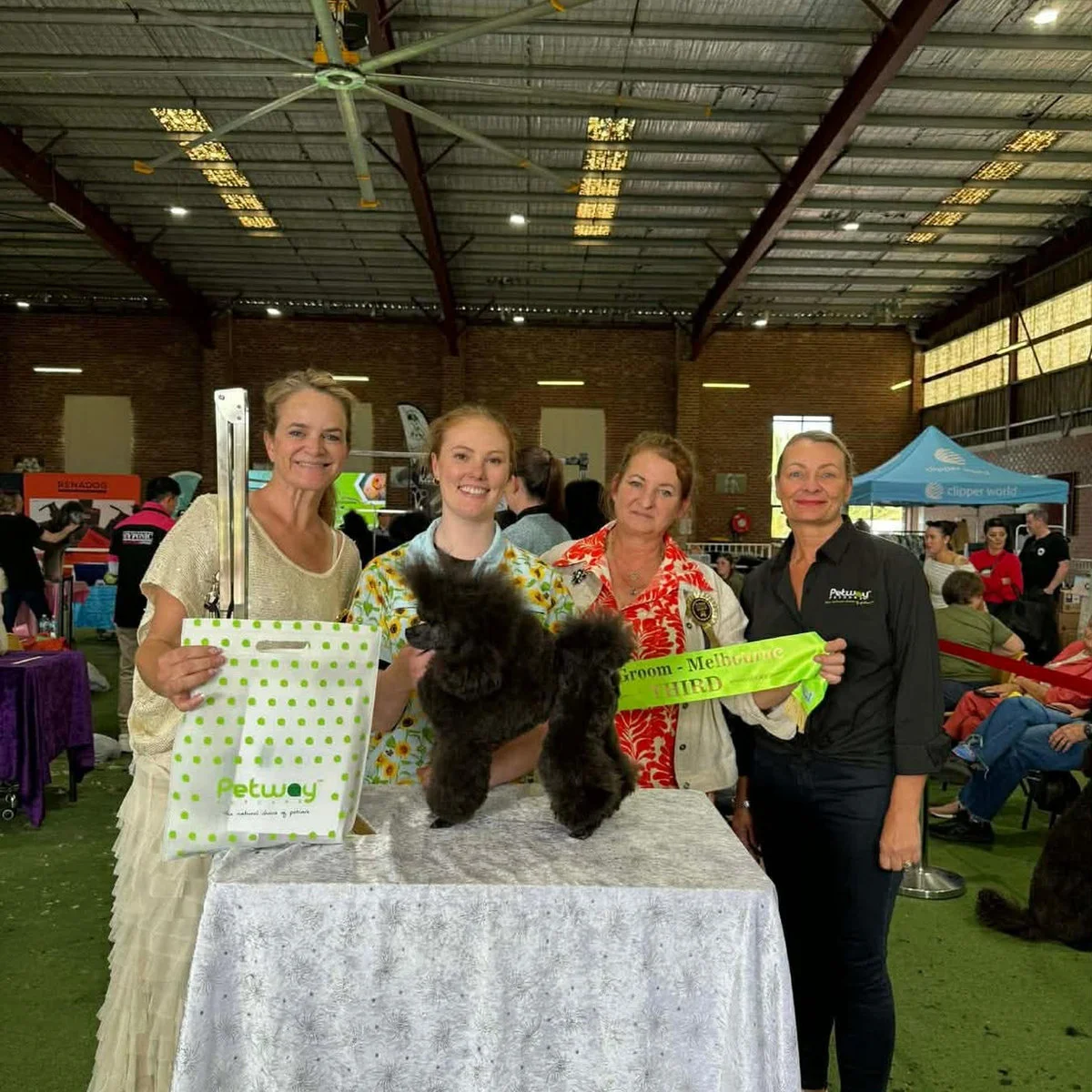Fetching Grooms team and dogs at a grooming competition