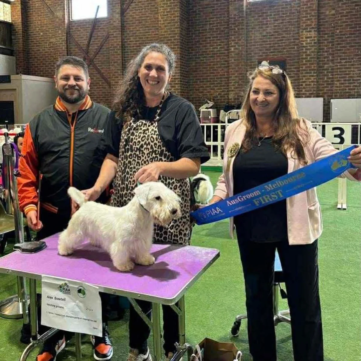 Fetching Grooms team and dogs at a grooming competition