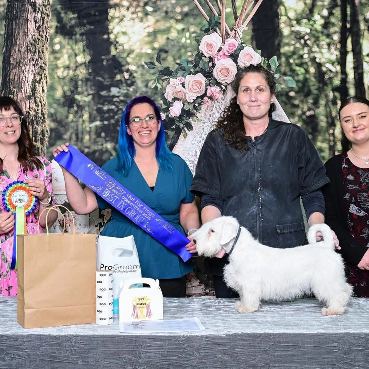 Fetching Grooms team and dogs at a grooming competition