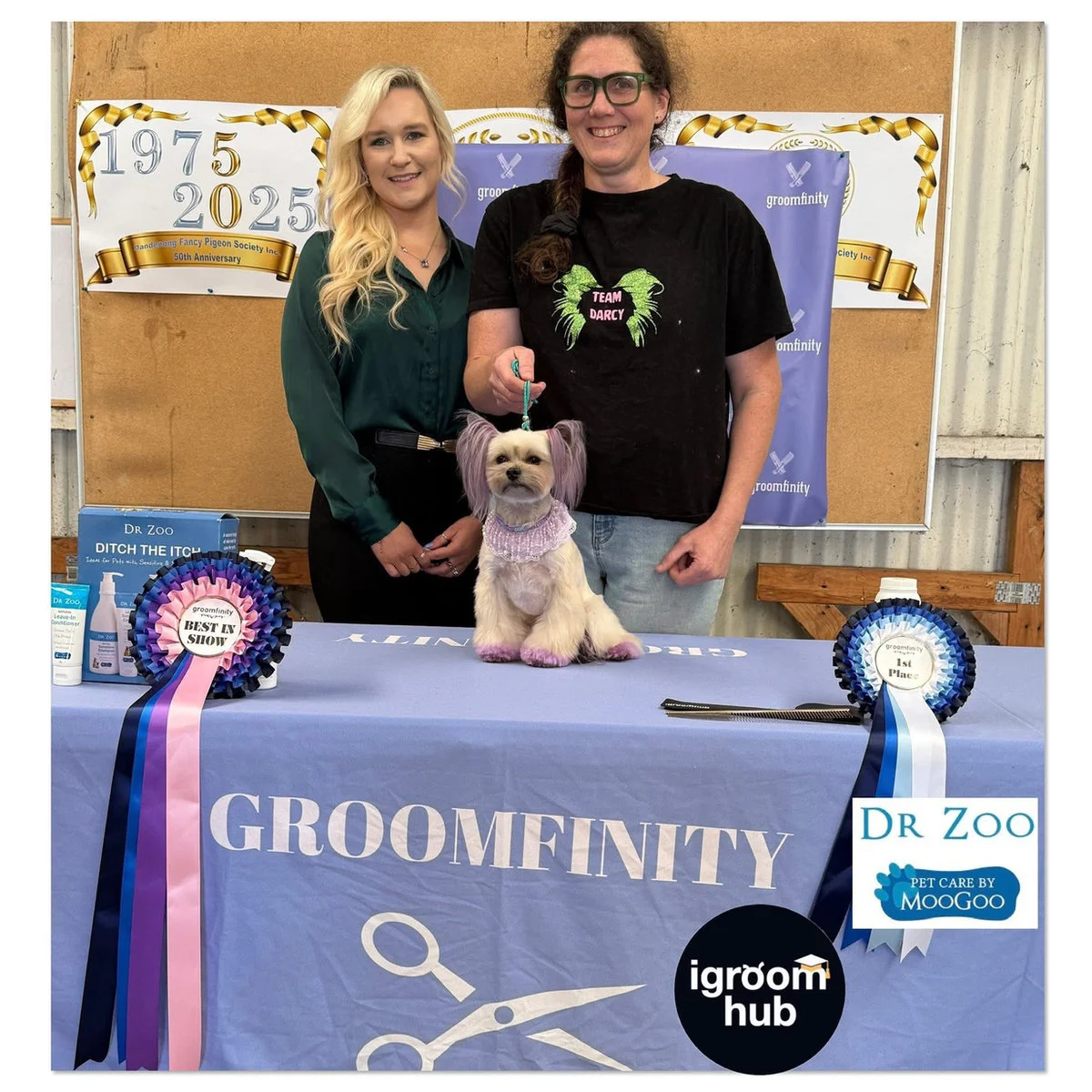 Fetching Grooms team and dogs at a grooming competition