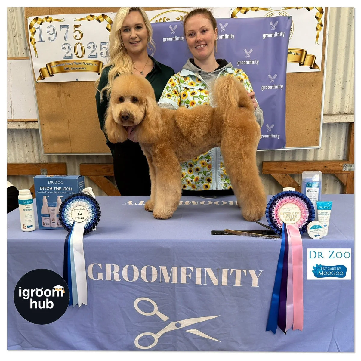 Fetching Grooms team and dogs at a grooming competition