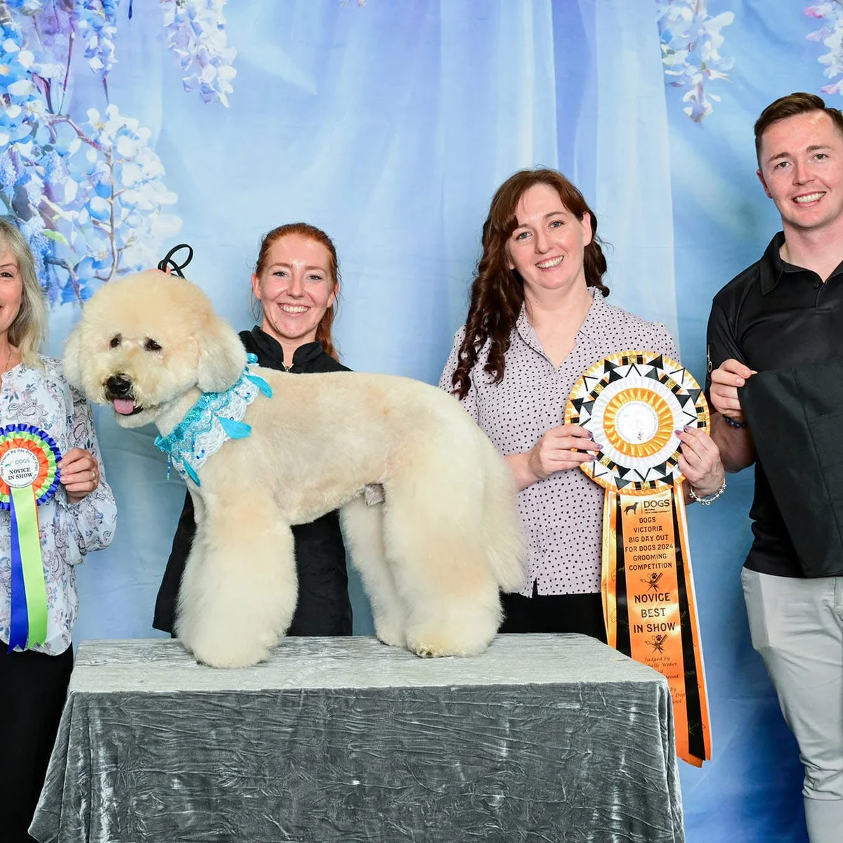 Fetching Grooms team and dogs at a grooming competition