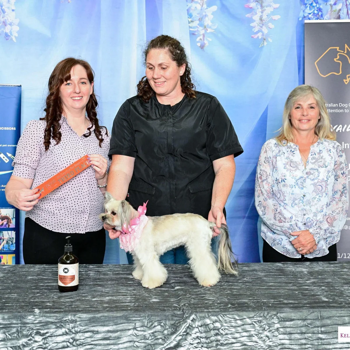 Fetching Grooms team and dogs at a grooming competition