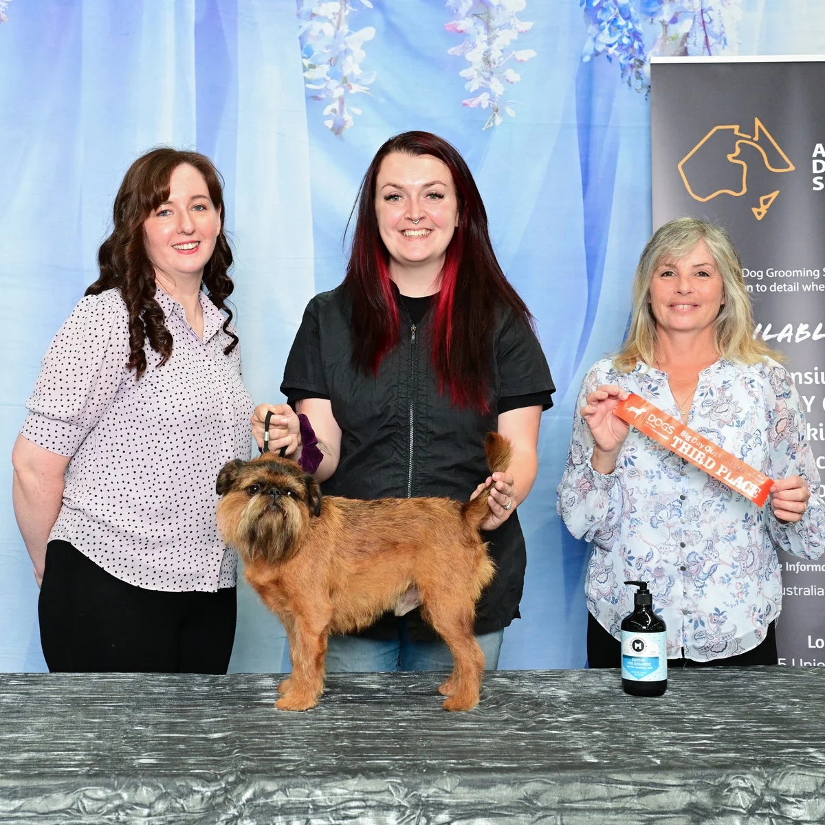 Fetching Grooms team and dogs at a grooming competition