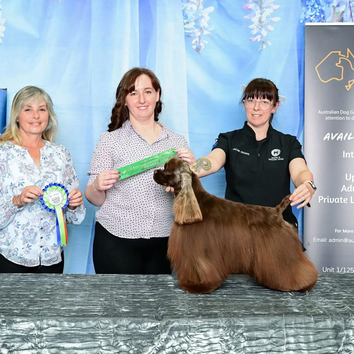 Fetching Grooms team and dogs at a grooming competition
